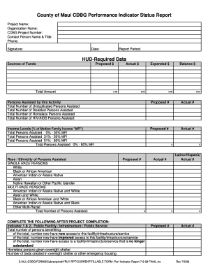 FORM--Perf Indicator Report 7-9-08 FINALxls