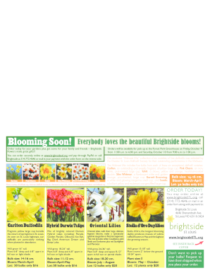 Brightside Bulb Order Form