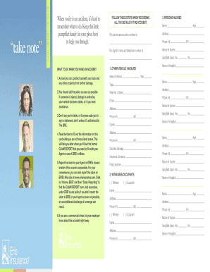 Auto Accident Information Form