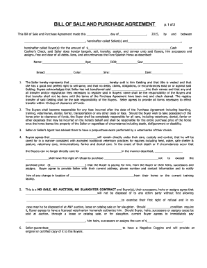 Bill of Sale and Purchase Agreement for Horse