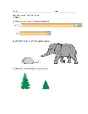 Kindergarten Measurement Assessment Form
