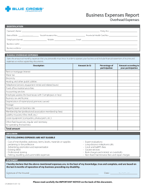 Business Expenses Report