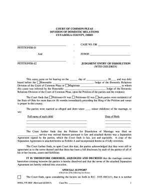 Ohio Divorce Judgment Entry With Children