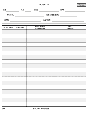 Form preview picture