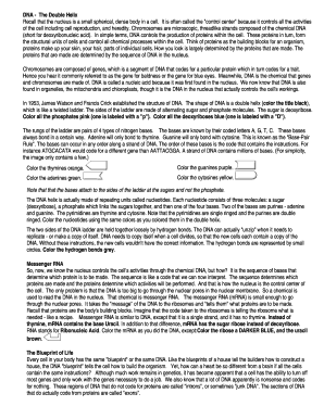 DNA The Double Helix Worksheet
