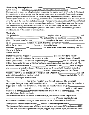 Photosynthesis Worksheet