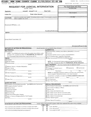 Request for Judicial Intervention Form