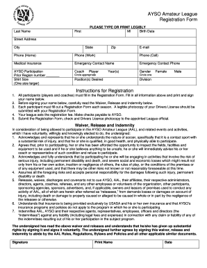 AYSO Amateur League Registration Form