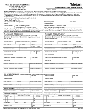 Consumer Loan Application