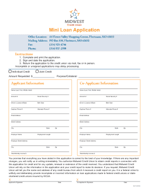 Mini Loan Application