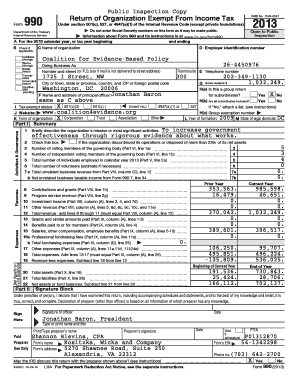 IRS Form 990 2013