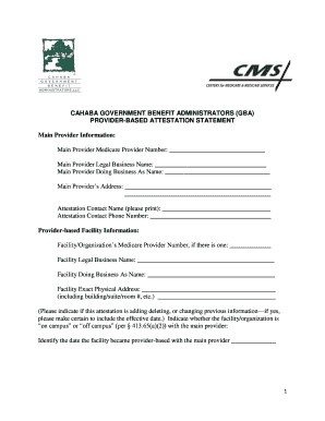 Provider-Based Attestation Statement