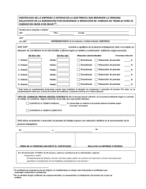 Certificado de la empresa o entidad en la que presta sus servicios la persona solicitante de la subvención por excedencia o reducción de jornada de trabajo para el cuidado de hijos o hijas