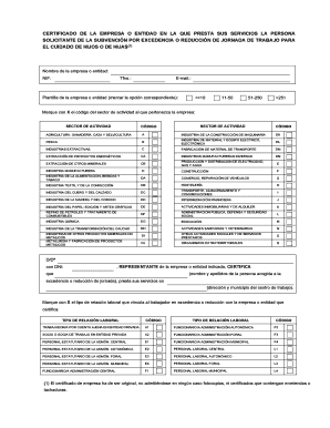 Certificado de la empresa o entidad en la que presta sus servicios la persona solicitante de la subvención por excedencia o reducción de jornada de trabajo para el cuidado de hijos o de hijas