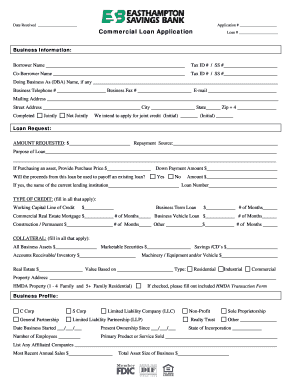 Commercial Loan Application Form