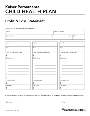 Kaiser Permanente Child Health Plan Profit & Loss Statement