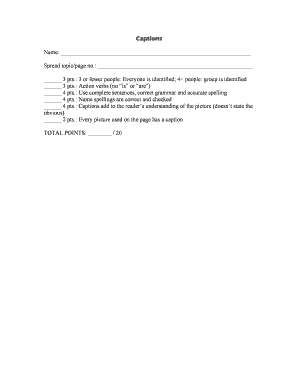 Caption Grading Rubric