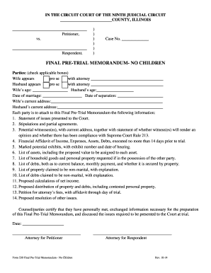 Final Pre-Trial Memorandum - No Children