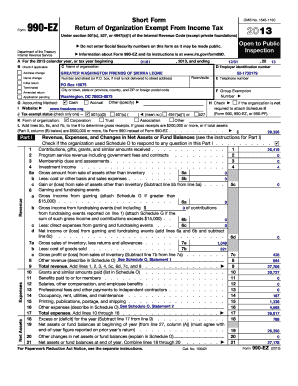 Form 990-EZ 2013