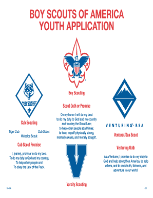 Boy Scouts of America Youth Application