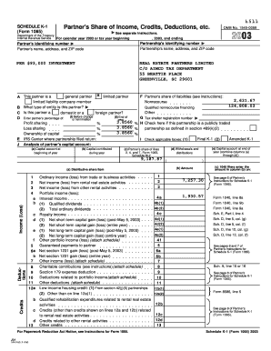 IRS Schedule K-1 Form 1065