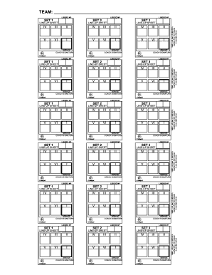 USA Volleyball Line-Up Sheet