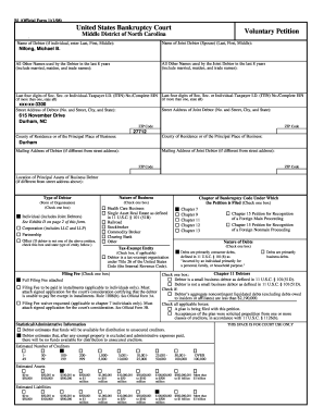 US Bankruptcy Voluntary Petition Form