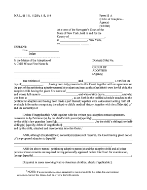 New York Adoption Order Form 13-A