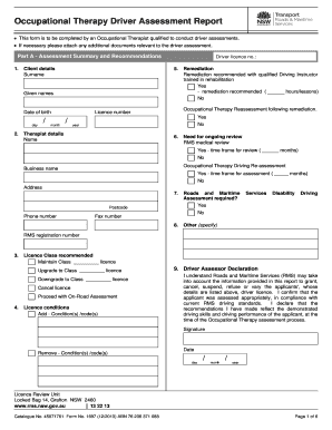 Occupational Therapy Driver Assessment Report