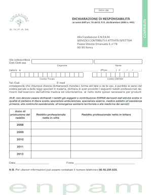 Dichiarazione di Responsabilità