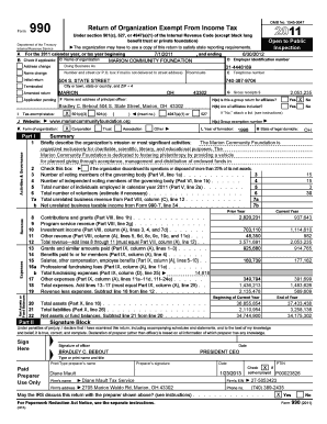 IRS Form 990 Tax Exempt Organization Return