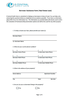 Borrower Assistance Form (Real Estate Loan)