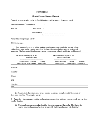 Disabled Persons Employed Return Form