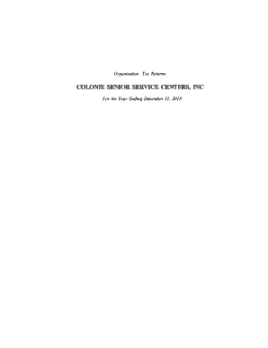 IRS Form 990 Tax Return