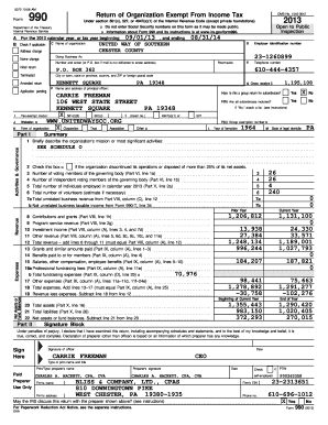 Form 990 2013 Tax Return