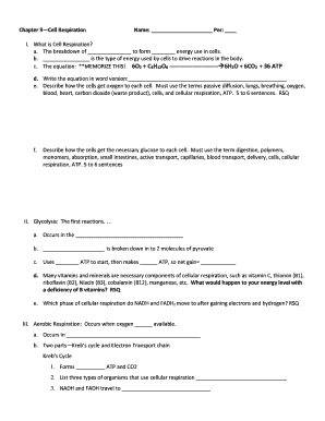 Cell Respiration Worksheet