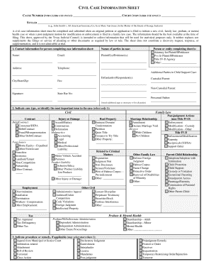 Texas Civil Case Information Sheet