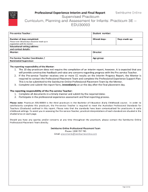 Professional Experience Interim and Final Report