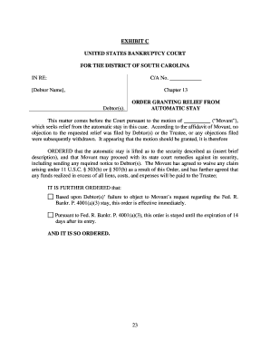 Bankruptcy Court Order Granting Relief from Automatic Stay