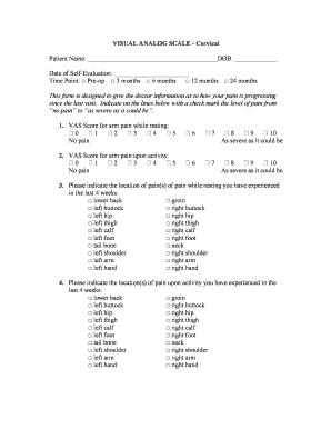 Cervical Pain Self-Evaluation Form