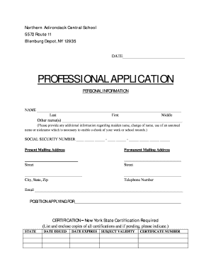 Professional Application for New York State Teachers