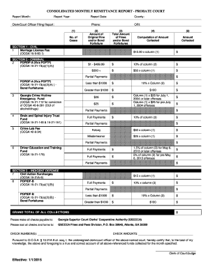 Consolidated Monthly Remittance Report - Probate Court