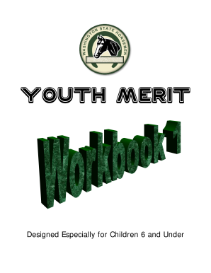 Washington State Youth Merit Program Application