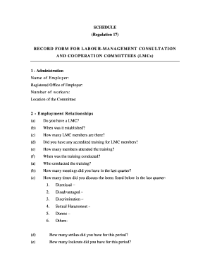 Labour-Management Consultation Record Form