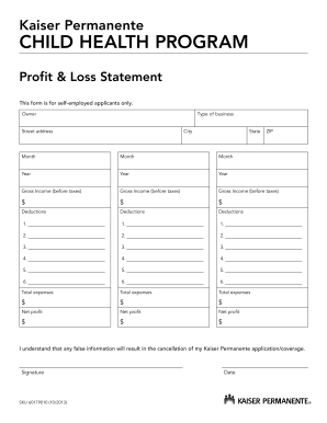 Kaiser Permanente Child Health Program Profit Loss Statement - info kaiserpermanente
