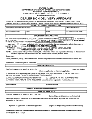 Florida Dealer Non-Delivery Affidavit