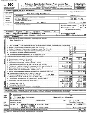 Form 990 Tax Exempt Organization Return