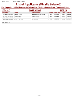 Form preview