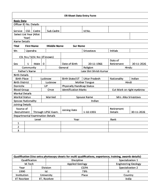 ER Sheet Data Entry Form