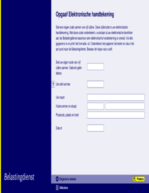 Electronic Signature Declaration Form
